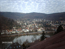 Heidelberg Appartement Neckarblick : Ansicht 5