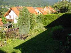 Heidelberg Ferienwohnung Rittm�ller : Blick ins Gr�ne