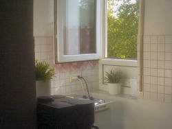 Heidelberg Appartement R�merstra�e : Ansicht 3