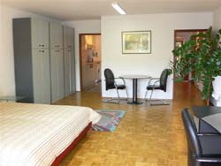 Heidelberg Ferienwohnung Gollas :  Blick in Wohnzimmer